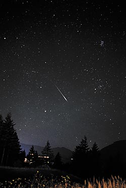 Perseid meteor in Taurus