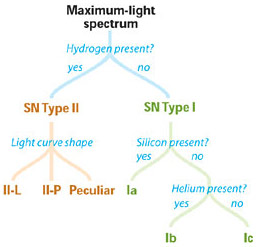 Supernova Types