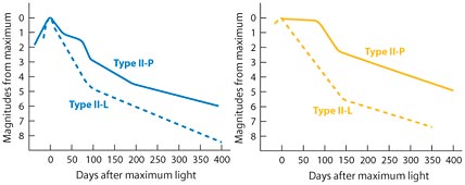 Supernova Light Curves