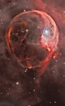 Image of Curty