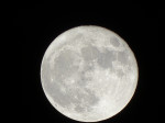 Image of astronomer91