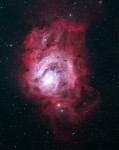 Image of Bella123