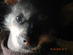 Image of GraylynMichelle
