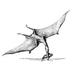 Image of texadactyl