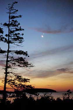 Venus and crescent Moon